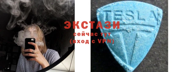 индика Нея
