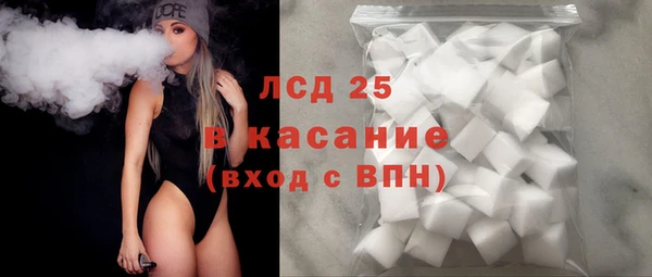 индика Нея
