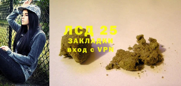 индика Нея