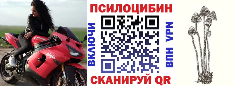 купить наркотики цена  Новоуральск  Галлюциногенные грибы ЛСД 