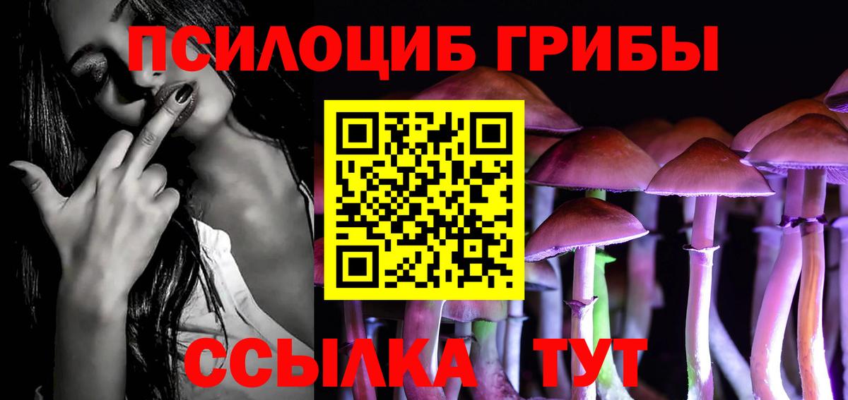 Галлюциногенные грибы Psilocybe Новоуральск